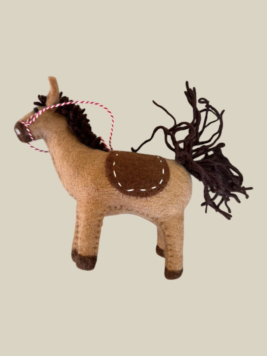 Felt Yak view 8