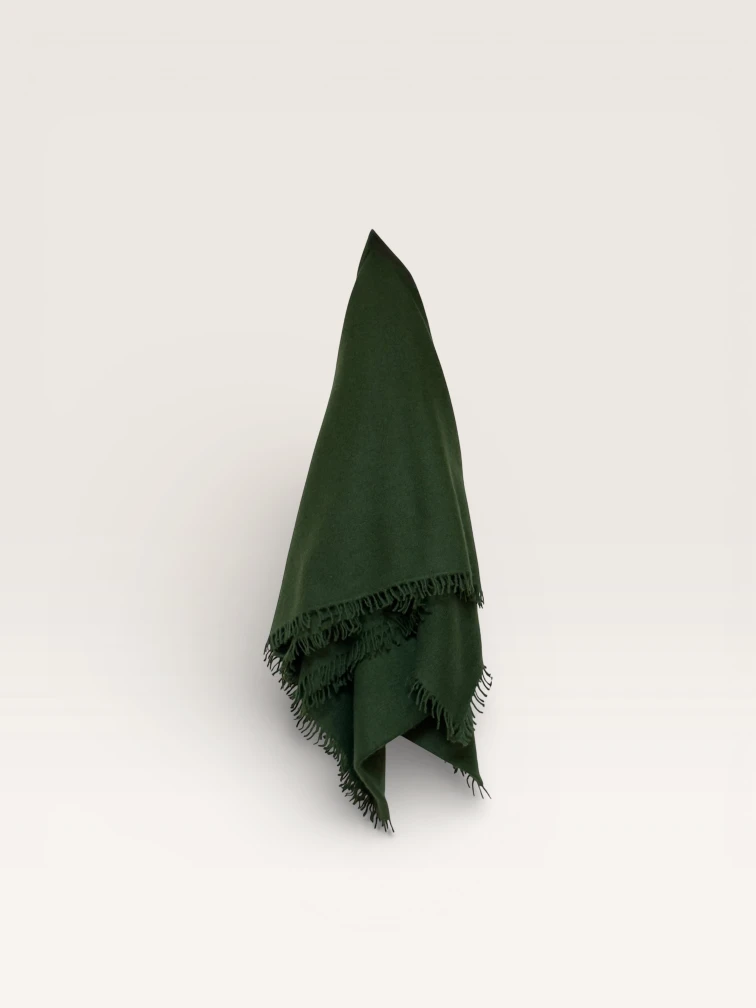 Printed Pashmina Shawl