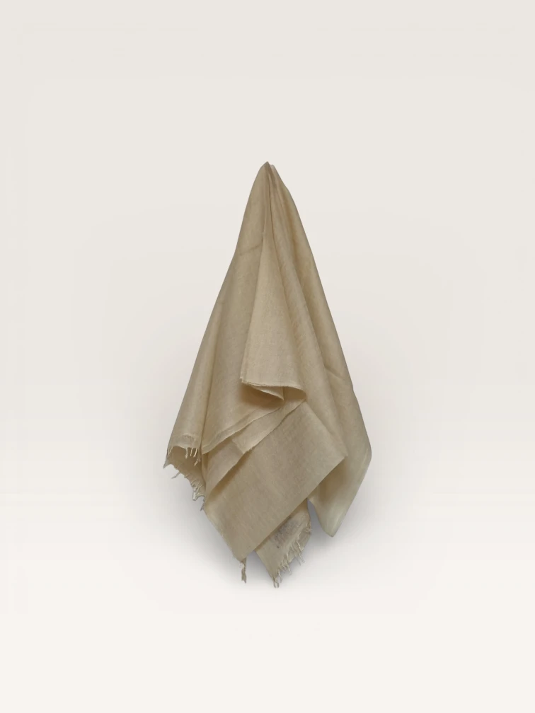 Embroidered Pashmina Shawl view 4