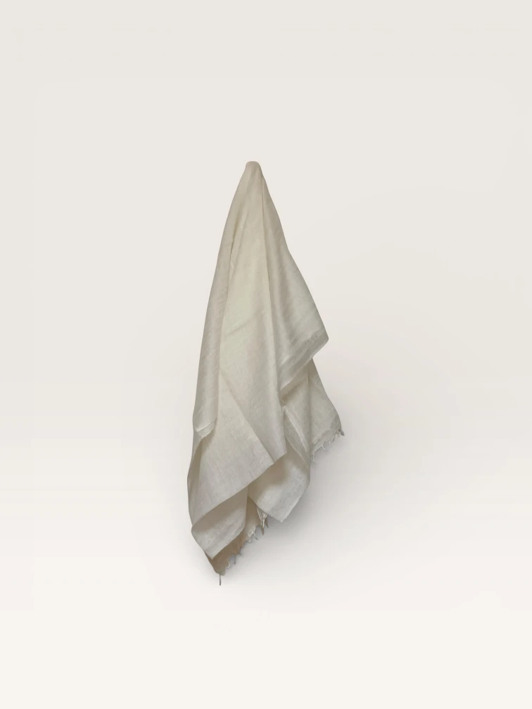 Solid Pashmina Collection