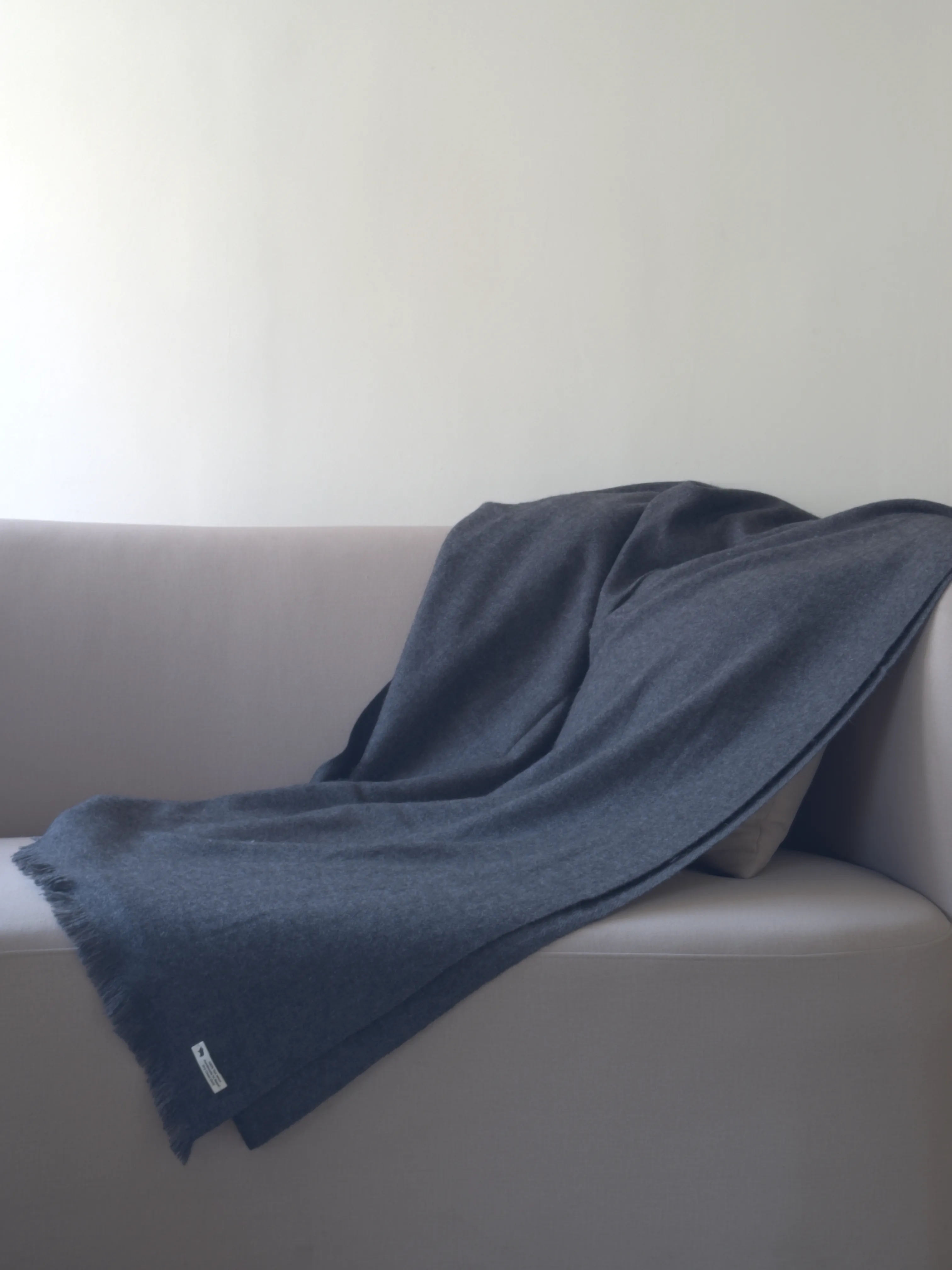 Classic Pashmina Shawl view 8