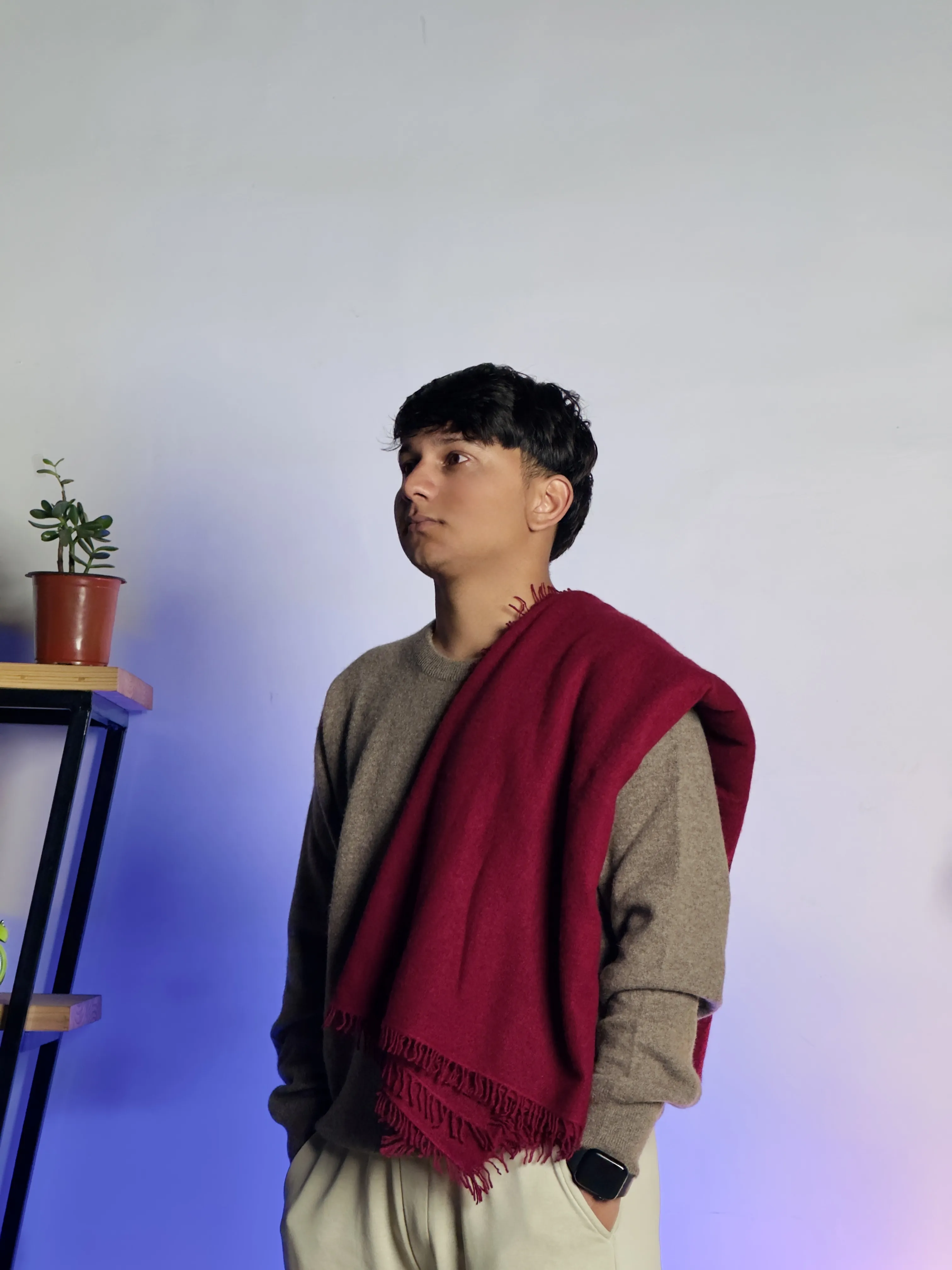 Solid Pashmina Collection view 8
